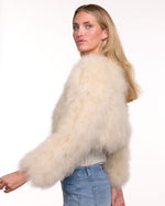 365 Days Chalk Ostrich Feather Bolero