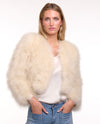 365 Days Chalk Ostrich Feather Bolero